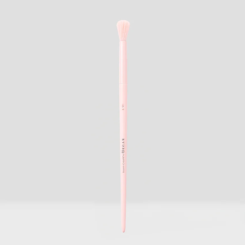 Brochas veganas - Vegan brushes
