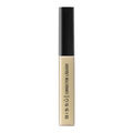 Corrector liquido