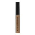 Corrector liquido