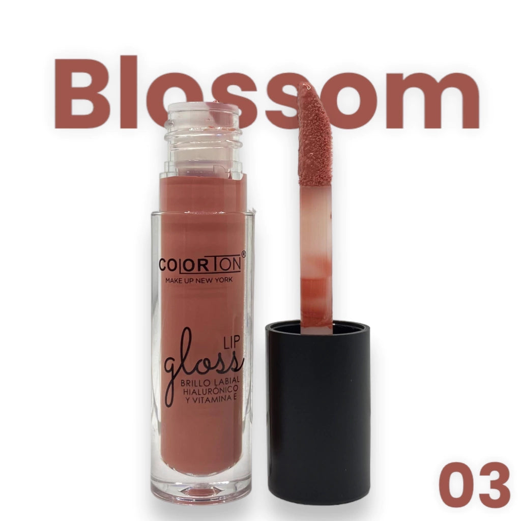 Lip Gloss Hialuronico + Vitamina E - Colorton C134