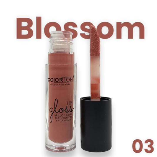 Lip Gloss Hialuronico + Vitamina E - Colorton C134