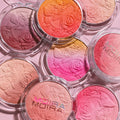 Signature Ombre blush
